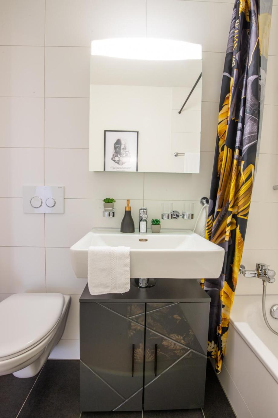 Apartment Special Einstein Iiv Apartment, Messe Kleinbasel 10-star Basel